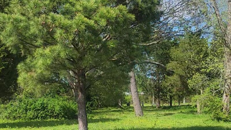 Providence Park - Virginia Beach, VA