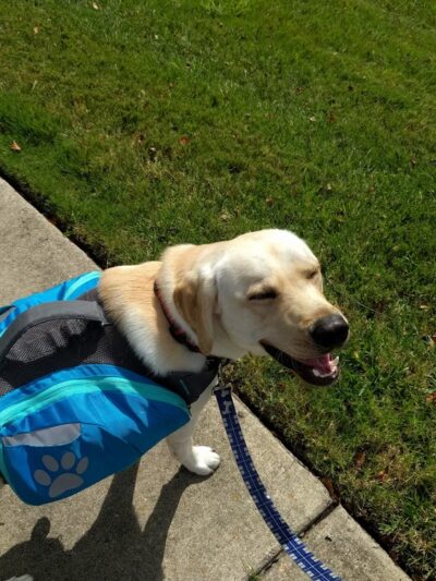 Town Square Neighborhood Park - Virginia Beach, VA