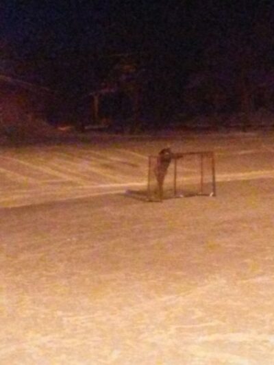 Jefferson Park - Virginia, MN