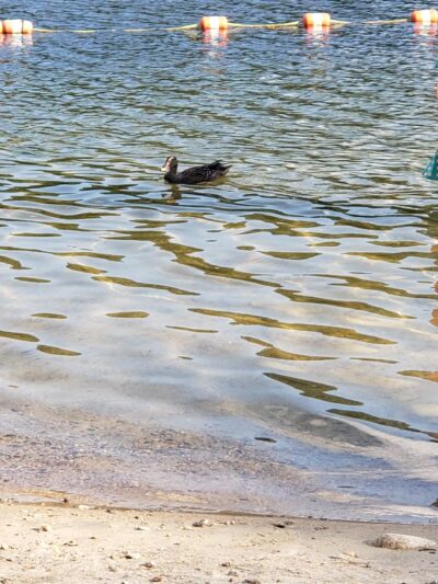 Finn Beach - Voluntown, CT