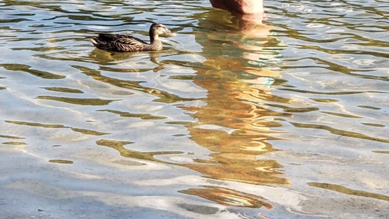 Finn Beach - Voluntown, CT