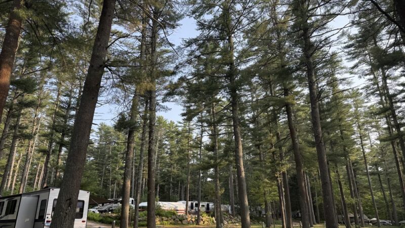 Nature's Campsites - Voluntown, CT