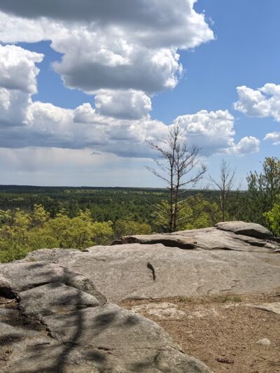 Pachaug State Forest - Voluntown, CT