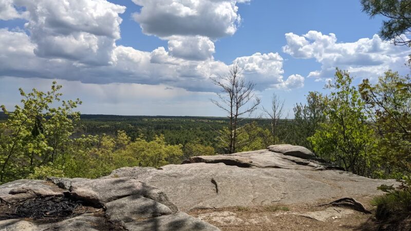 Pachaug State Forest - Voluntown, CT