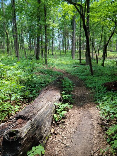 Fort Loudon State Park - Vonore, TN