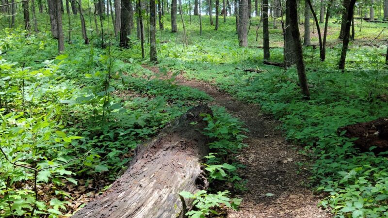 Fort Loudon State Park - Vonore, TN