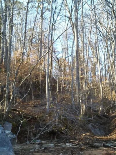 McGee Carson Peninsula Recreation Area - Vonore, TN