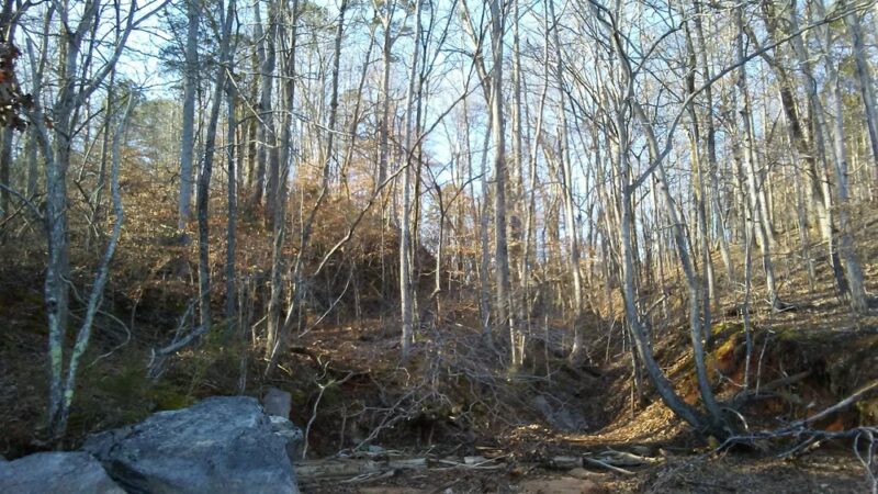 McGee Carson Peninsula Recreation Area - Vonore, TN