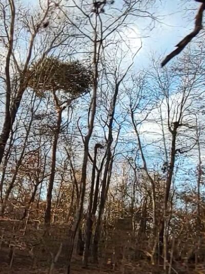 McGee Carson Peninsula Recreation Area - Vonore, TN