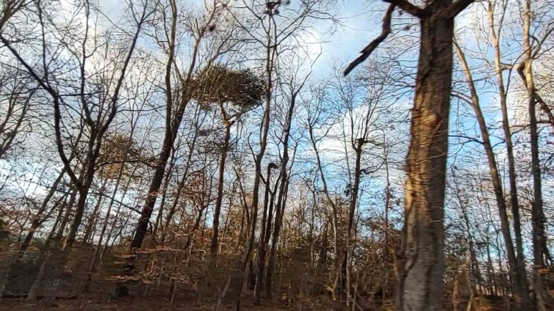 McGee Carson Peninsula Recreation Area - Vonore, TN