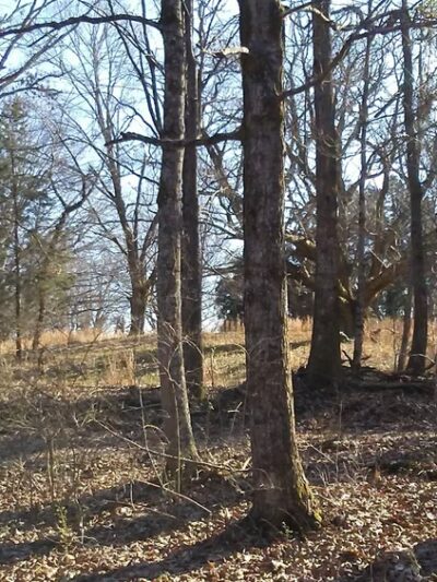 McGee Carson Peninsula Recreation Area - Vonore, TN