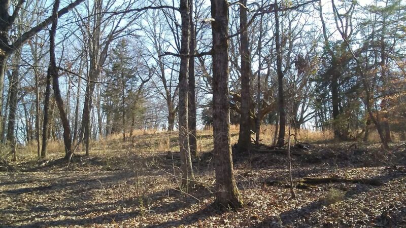 McGee Carson Peninsula Recreation Area - Vonore, TN