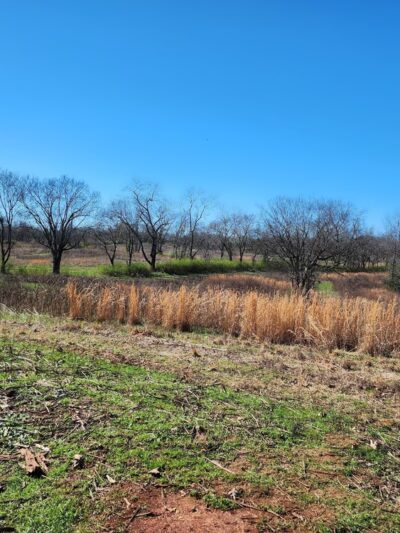McGee Carson Peninsula Recreation Area - Vonore, TN
