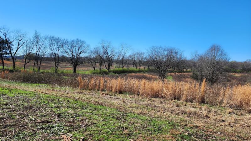 McGee Carson Peninsula Recreation Area - Vonore, TN