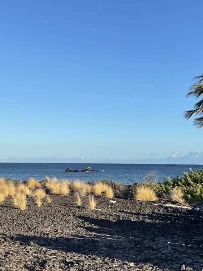 Kings Hwy Foot Trail - Waikoloa Village, HI