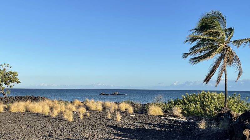 Kings Hwy Foot Trail - Waikoloa Village, HI