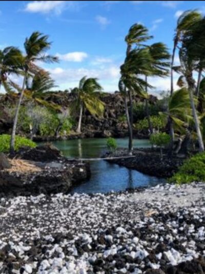 Kings Hwy Foot Trail - Waikoloa Village, HI