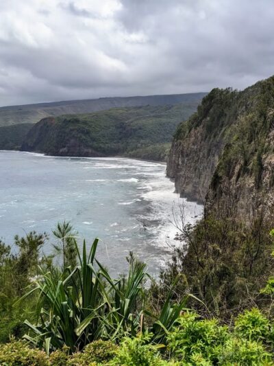 Kohala Forest Reserve - Waimea, HI