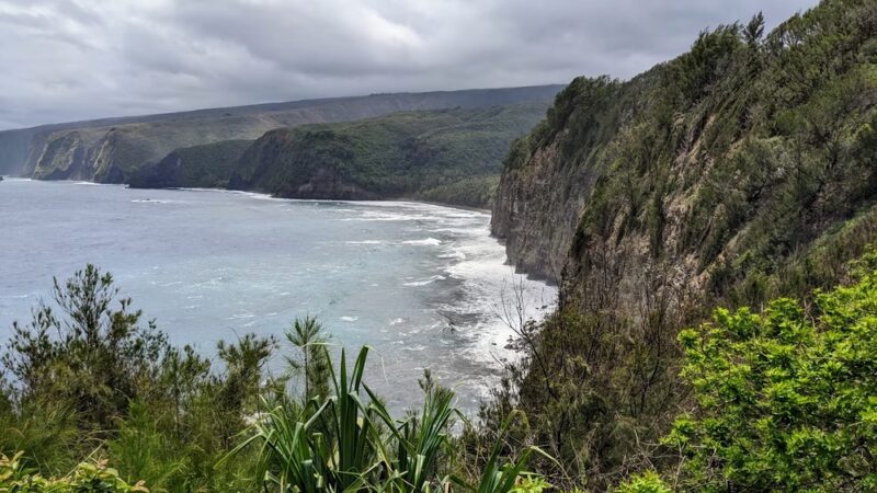 Kohala Forest Reserve - Waimea, HI