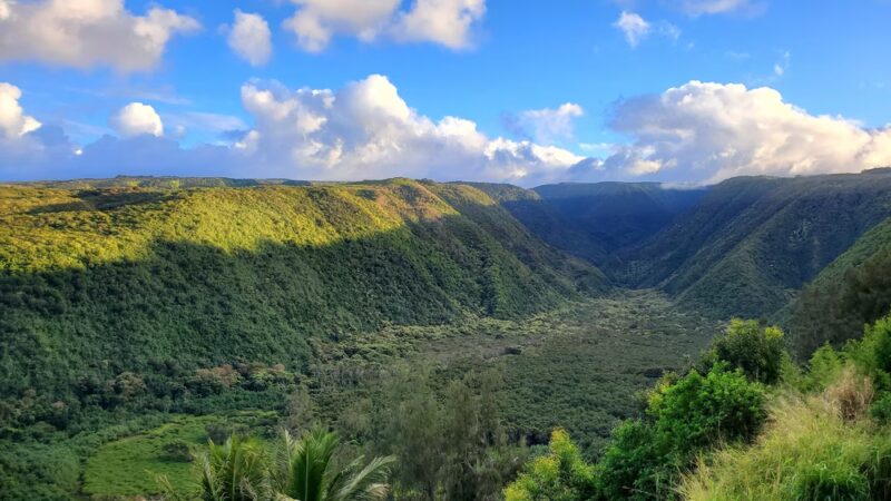 Kohala Forest Reserve - Waimea, HI