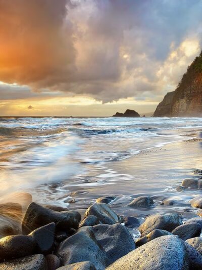 Kohala Forest Reserve - Waimea, HI