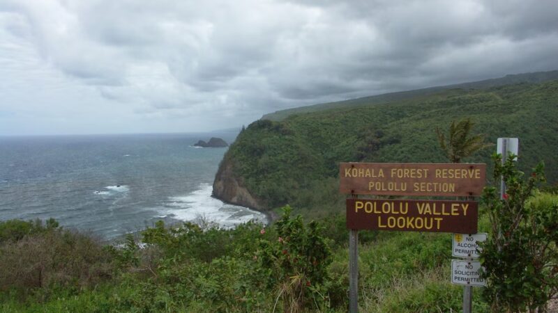 Kohala Forest Reserve - Waimea, HI