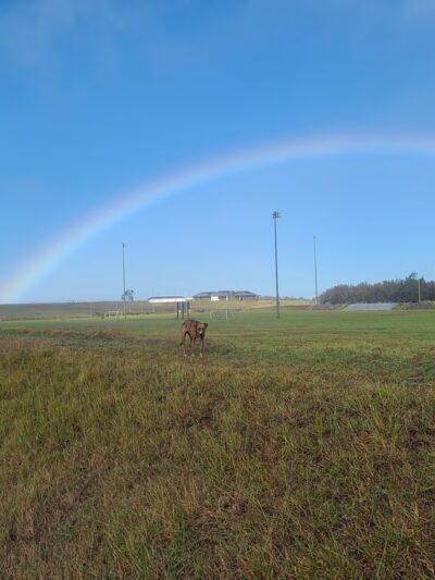 Spencer Kalani Schutte Park - Waimea, HI