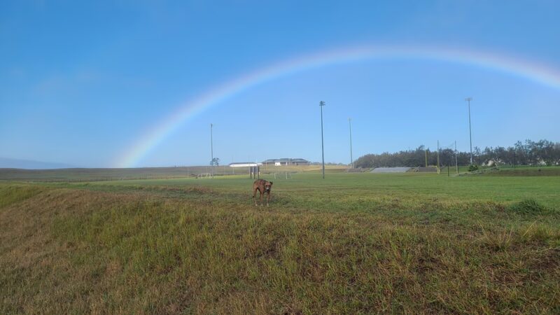Spencer Kalani Schutte Park - Waimea, HI