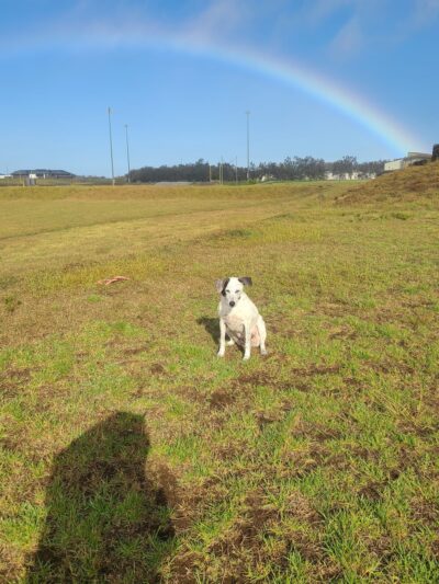 Spencer Kalani Schutte Park - Waimea, HI