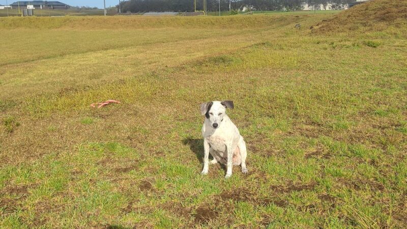 Spencer Kalani Schutte Park - Waimea, HI