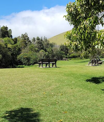 Ulu La‘au (Waimea Nature Park) - Waimea, HI