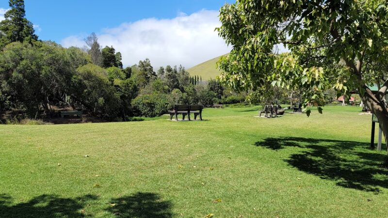 Ulu La‘au (Waimea Nature Park) - Waimea, HI