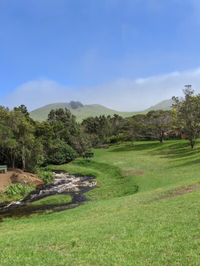 Ulu La‘au (Waimea Nature Park) - Waimea, HI