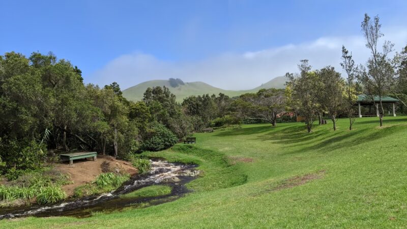 Ulu La‘au (Waimea Nature Park) - Waimea, HI