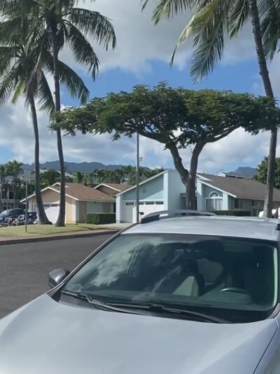 Kunia Neighborhood Park - Waipahu, HI