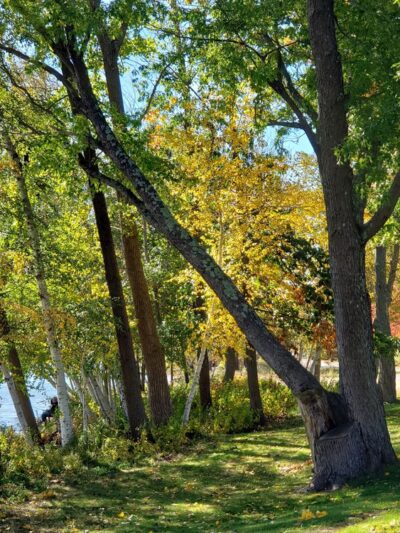 Col. Connelly Park/Gertrude Spaulding Park - Wakefield, MA