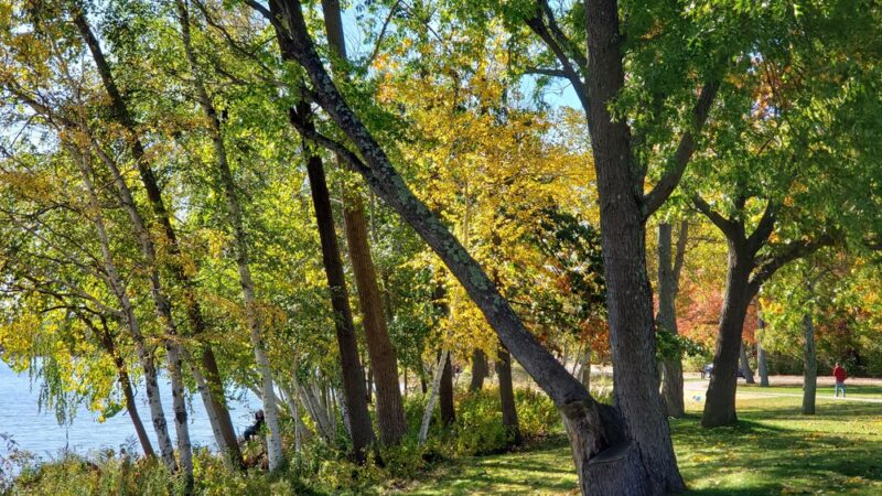 Col. Connelly Park/Gertrude Spaulding Park - Wakefield, MA