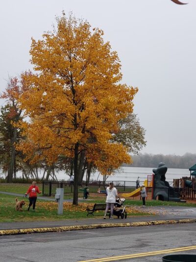 Col. Connelly Park/Gertrude Spaulding Park - Wakefield, MA