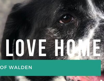 Humane Society of Walden - Walden, NY