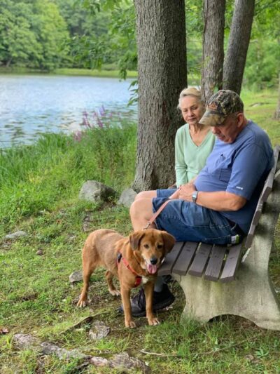 Humane Society of Walden - Walden, NY