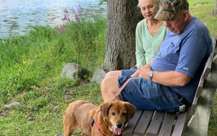 Humane Society of Walden - Walden, NY