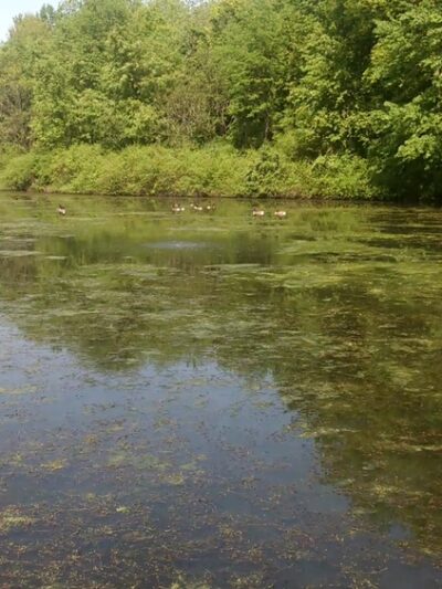 James Olley Community Park - Walden, NY