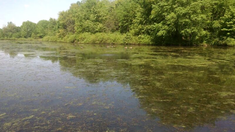 James Olley Community Park - Walden, NY