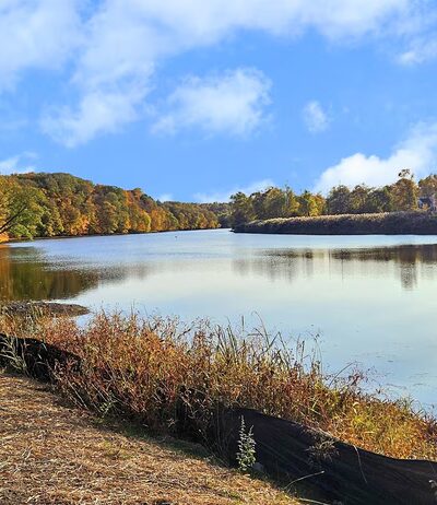 Walden Joseph Savage Memorial Skatepark - Walden, NY