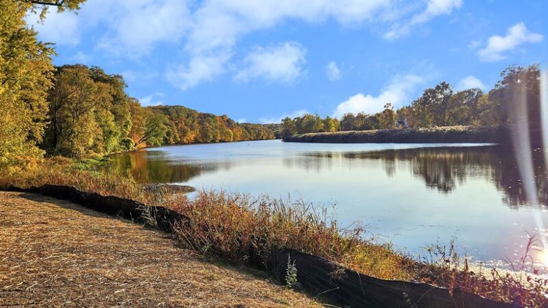 Walden Joseph Savage Memorial Skatepark - Walden, NY