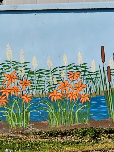 Walden Joseph Savage Memorial Skatepark - Walden, NY