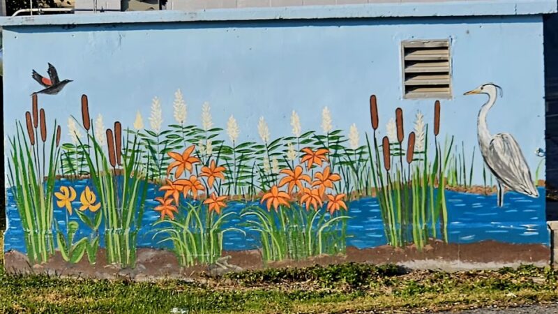 Walden Joseph Savage Memorial Skatepark - Walden, NY