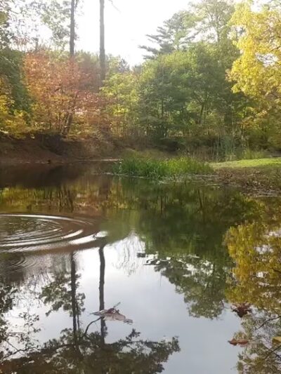 Wooster Grove - Walden, NY