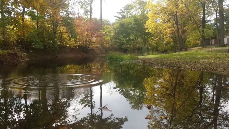 Wooster Grove - Walden, NY