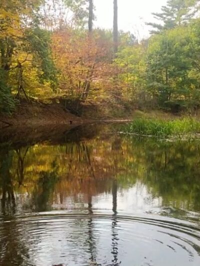 Wooster Grove - Walden, NY